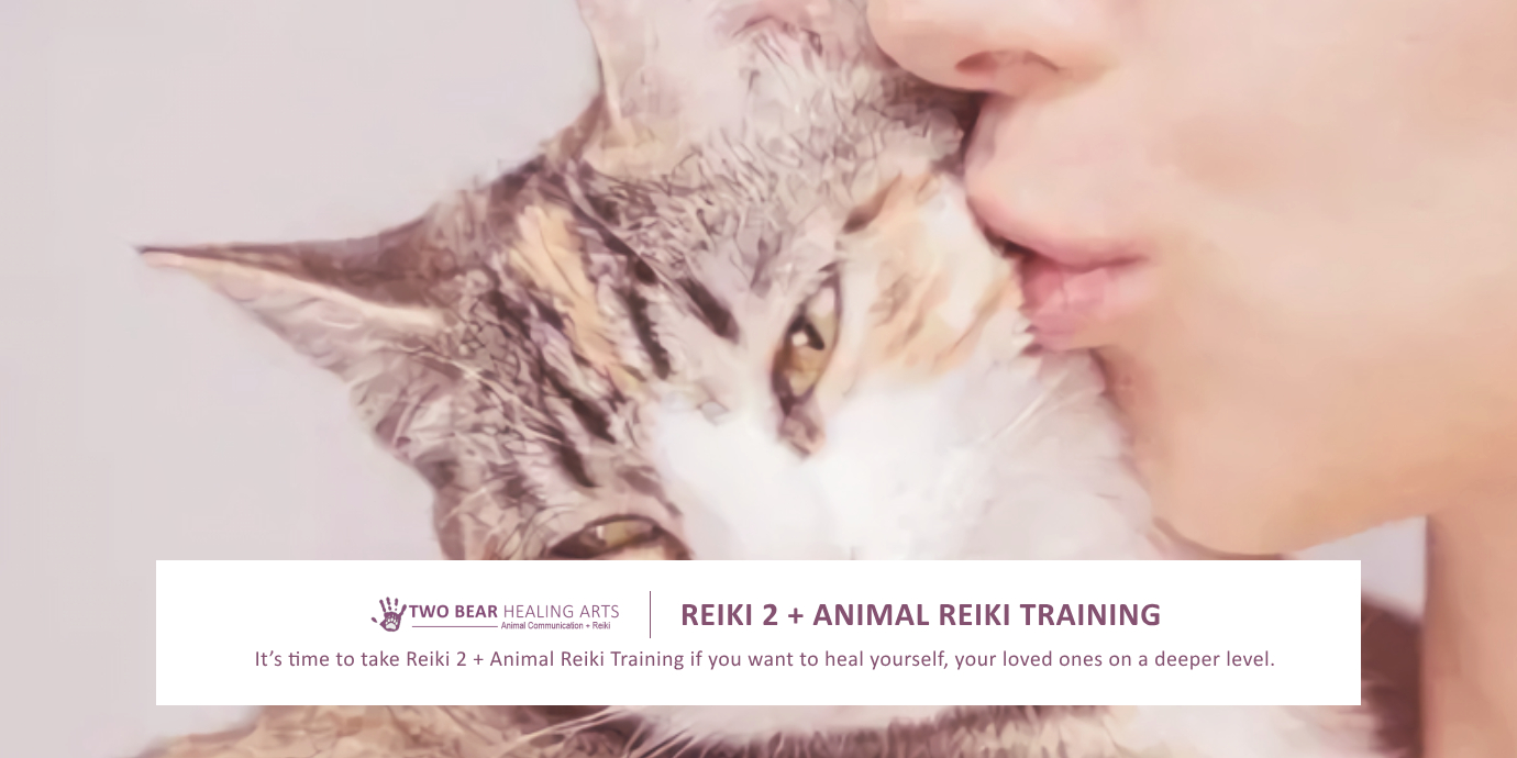 Expand your Reiki practice to animals! Image advertises combined training in Reiki level 2 and animal Reiki techniques.