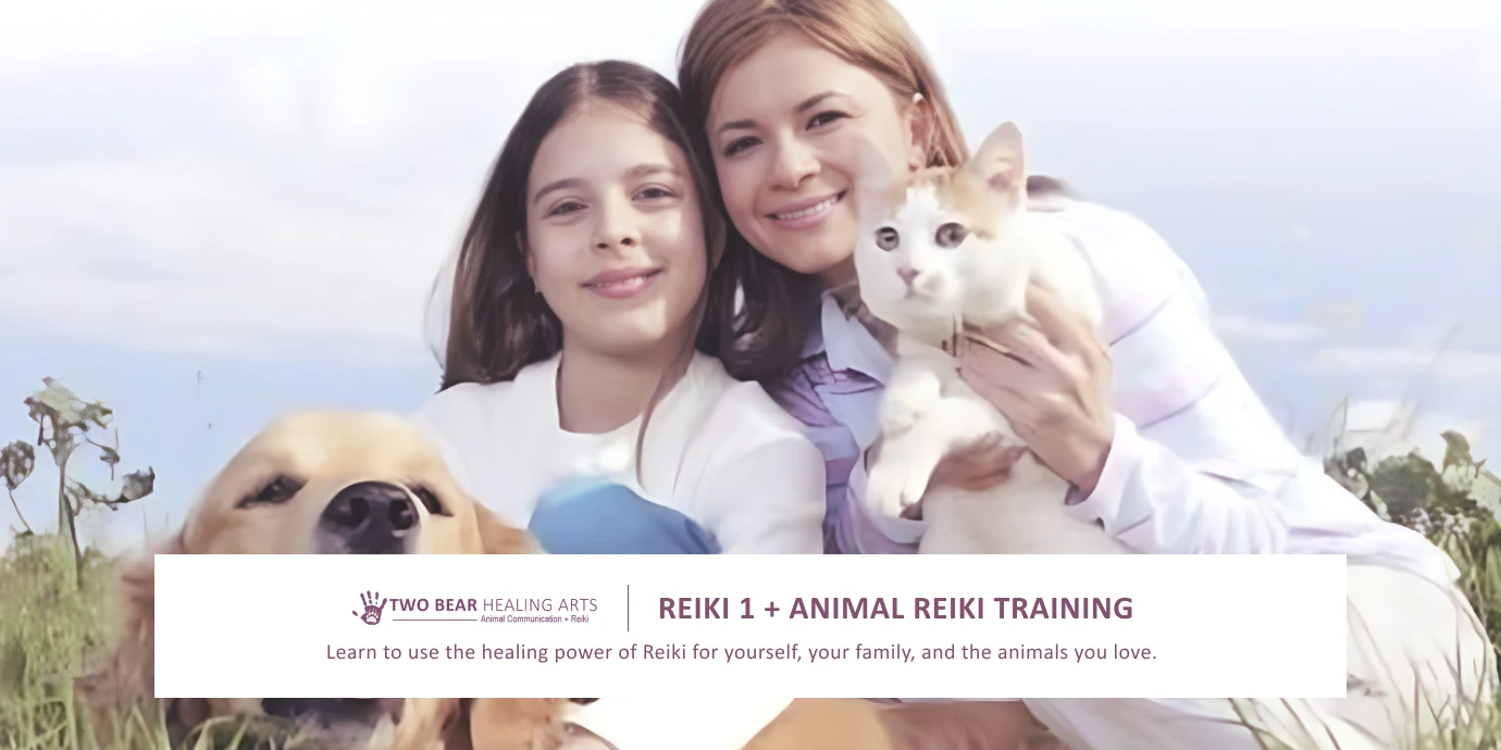 Image of a mother and daughter gently placing their hands on a relaxed dog and cat receiving Reiki healing treatment.