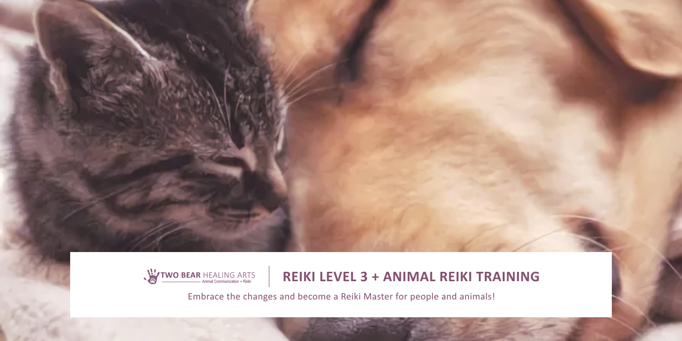 Become a Reiki Master for People and Animals! Image advertises a program combining Reiki Level 3 (Master) training with animal Reiki techniques. Learn advanced practices, attune others, and apply Reiki healing to enhance the well-being of people and animals.