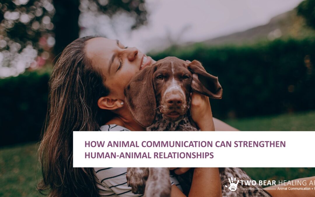 Bridging the Gap: How Animal Communication Can Strengthen Human-Animal Relationships