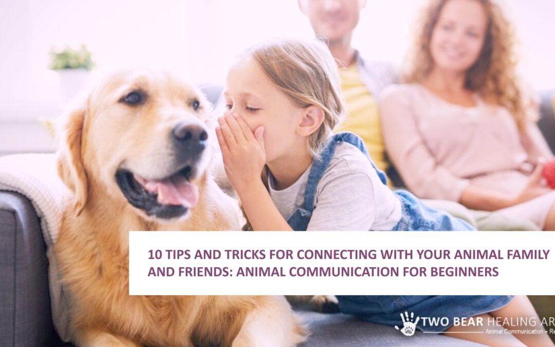10 Tips and Tricks for Connecting with Your Animal Family and Friends: Animal Communication for Beginners