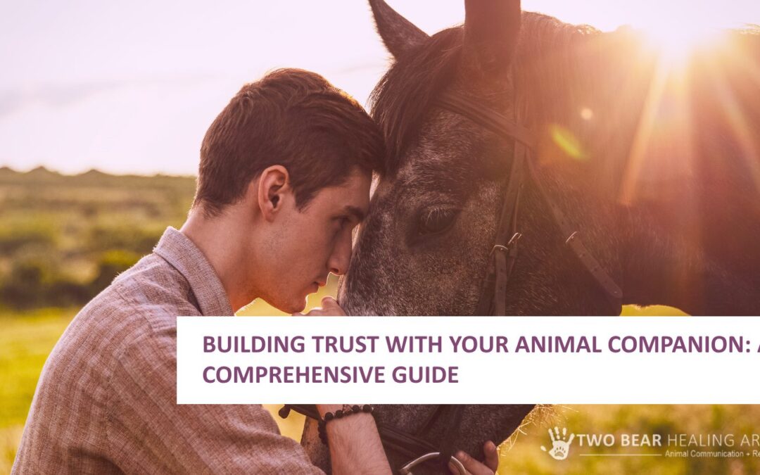 Building Trust with Your Animal Companion: A Comprehensive Guide