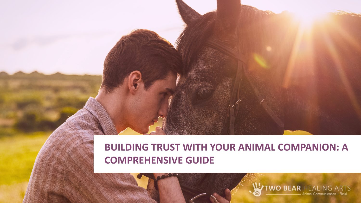 Building Trust With Your Animal Companion: A Comprehensive Guide