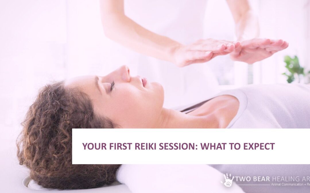 Your First Reiki Session: What to Expect