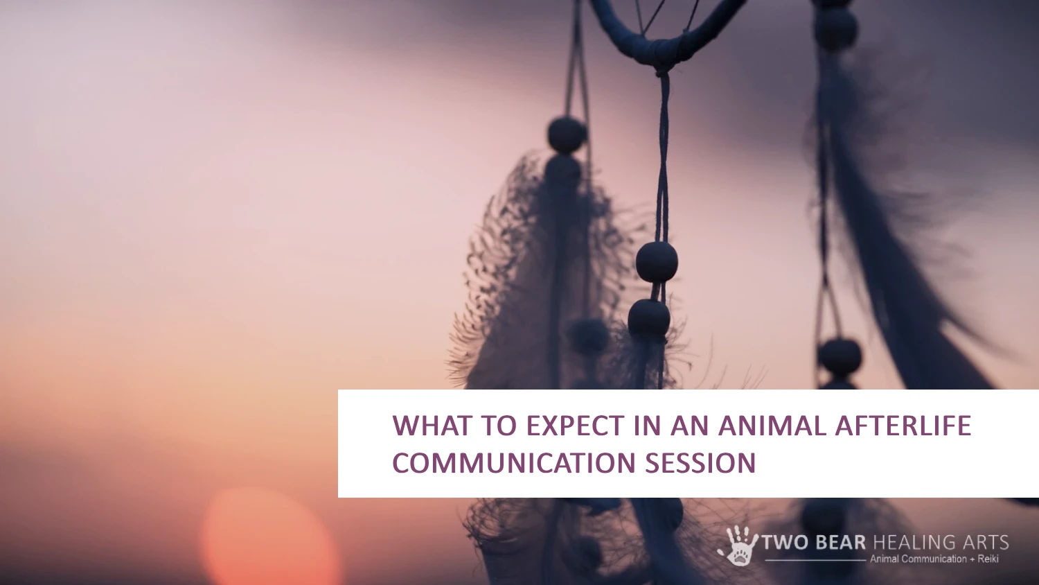 Wondering what an animal afterlife communication session is like? Image of a dreamcatcher symbolizes the potential for peaceful and insightful connections with your departed pet.