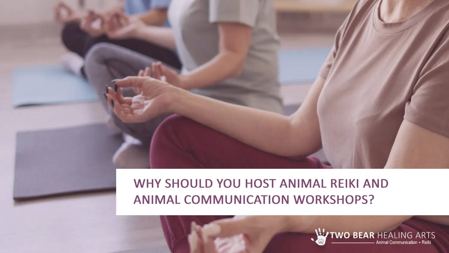 Promote animal well-being with Reiki! Image shows peaceful women meditating, symbolizing the calming and restorative potential of Reiki workshops for animals.
