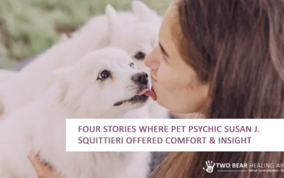 Four Stories Where Pet Psychic Susan J. Squittieri Offered Comfort & Insight