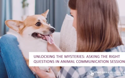 Unlocking the Mysteries: Asking the Right Questions in Animal Communication Sessions