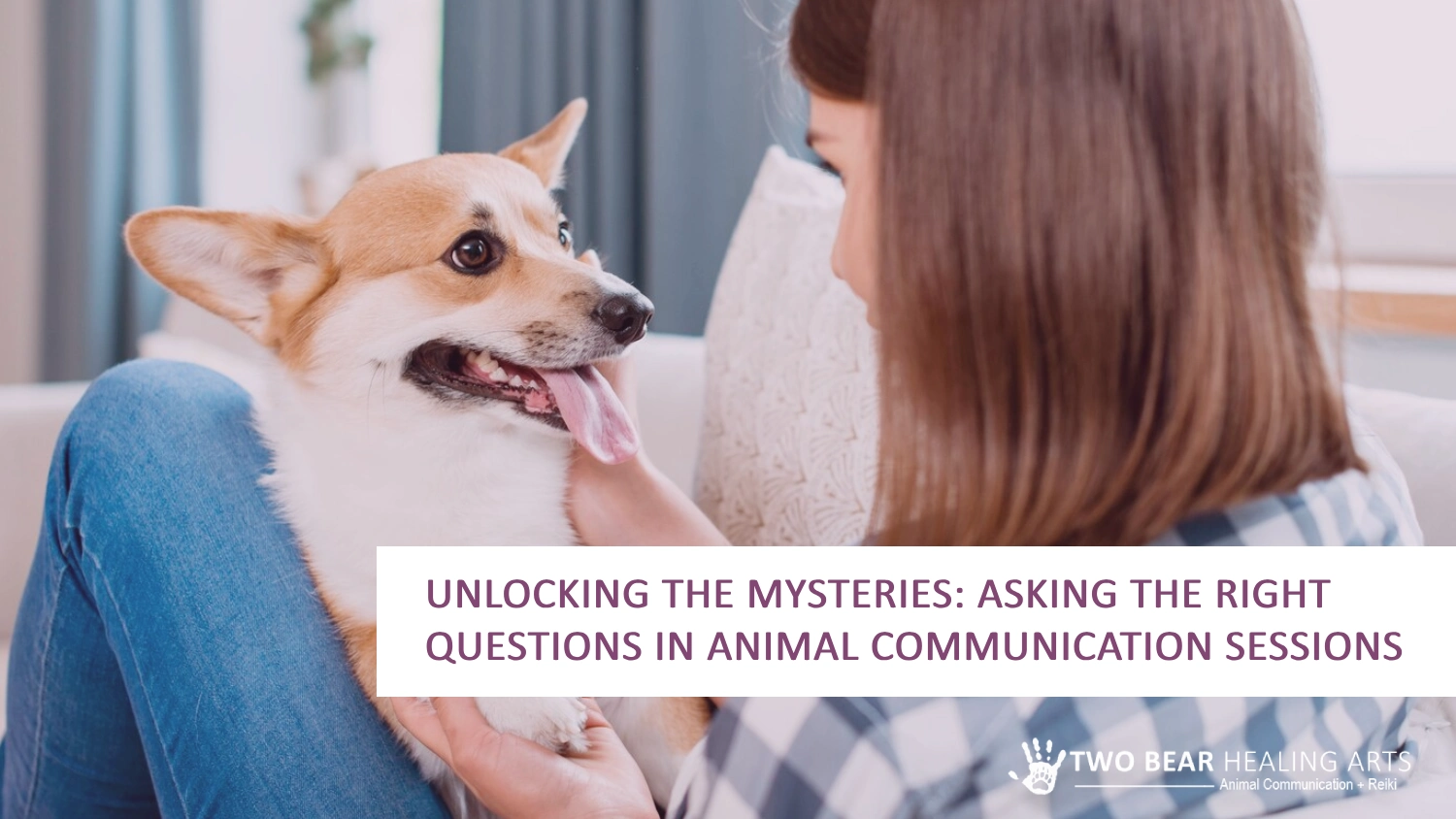 Curious about your pet's inner world? Image of a dog cuddling with its owner on a couch. Learn how to ask the right questions in animal communication sessions to unlock a deeper understanding of your furry friend.